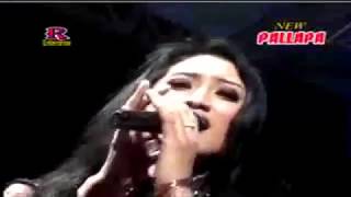 Download lagu New Pallapa Ilalang mp3 Download lagu New Pallapa Ilalang mp3