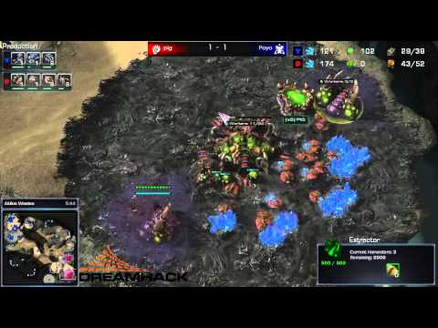 DH Summer 2013 - PiG(Z) vs Poyo(T) G3