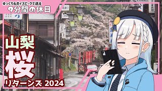 【ゆっくり＆ボイピ車載】山梨桜巡りリターンズ～後編＜9分間の休日＞