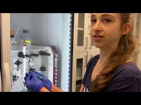 Injecting sample into a sample loop and starting SEC run on an AKTA