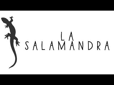 TRUENO ft. UNDERDANN "LA SALAMANDRA🦎"| letra