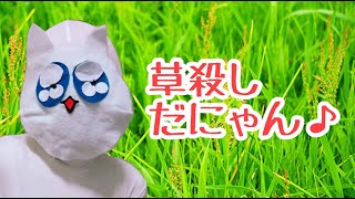 【園芸】草!!許さないにゃん!!!