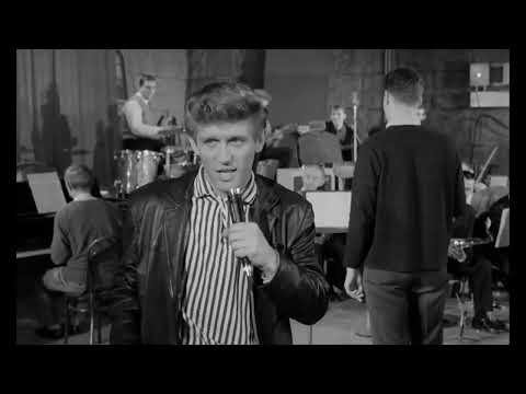 John Leyton - Wild Wind