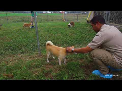 Kennel Tour 49