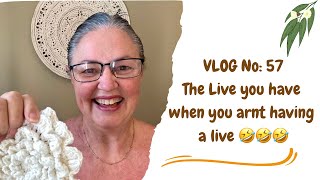 VLOG No: 57, Time for a Crochet Time Catch Up, all things Crochet🍃🌾🌿#crochet