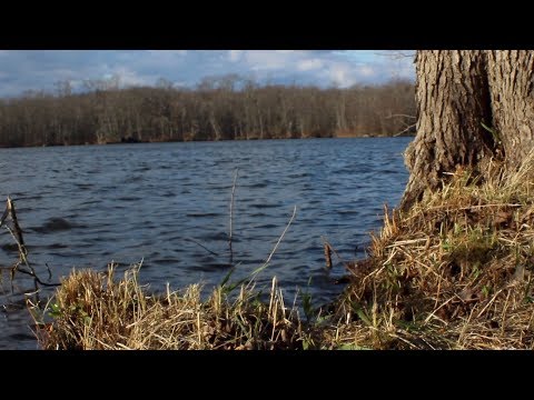 SC Static - Lost On The River (Time Flies) (Official Music Video) (Produced By Matty Beats)