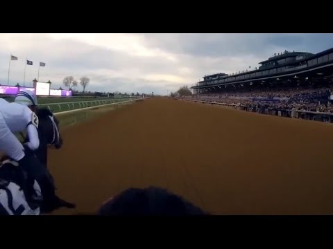 Ride Flightline in the Breeders Cup Classic  -  11/5/22 - Keeneland