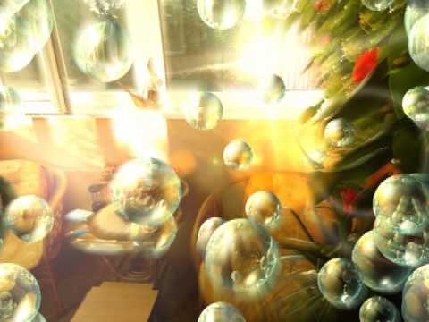 Petar Grašo feat  Hana Huljić   Srce za vodiča  impresija