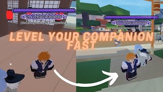 The NEW Best way to level Companions| Shindo Life