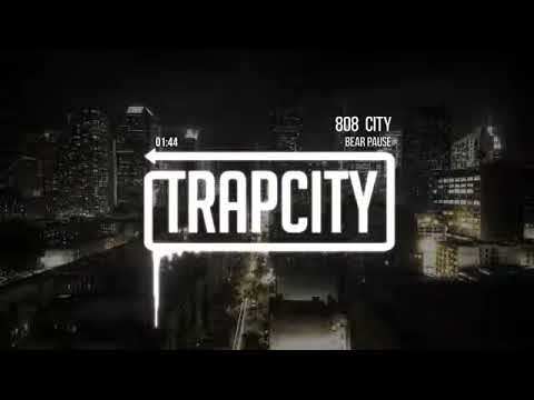 Bear Pause - 808 City