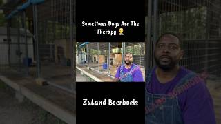This Is Where He Resets #ZuLandBoerboels #FarmDog #DogTalk #BoerboelLove #Peace
