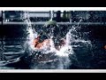 Discovery Diver Ident 2011