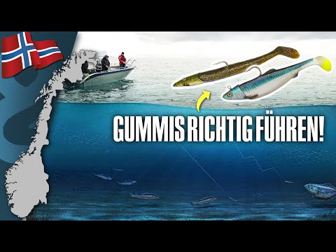 Tipps vom Profi / Gummifischangeln in Norwegen 🇳🇴