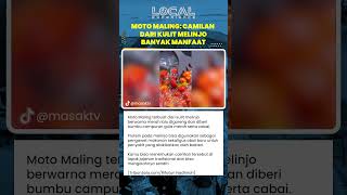 Moto Maling: Camilan dari Kulit Melinjo yang Gurih, Bergizi, dan Kaya Manfaat bagi Kesehatan Tubuh