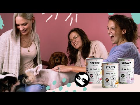 STRAYZ auch für Doggos - Unsere Crowdfunding-Kampagne auf Startnext