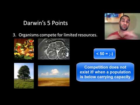 Evolution Lecture 1