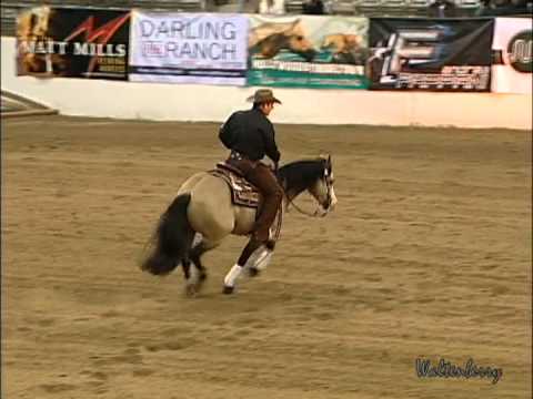HF Mobster's 2013 NRBC Open Finals Run