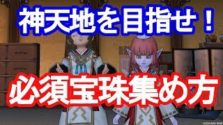 ドラクエ10実況＃29　聖守護者討伐には必須！？宝珠で天地雷鳴士をパワーアップ！