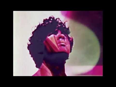 Mr. Käfer x Makkako - 223° (Music Video)