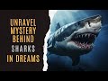 🦈Symbolic Meaning Of Shark Dream | Dreaming Of Shark Spiritual Meaning | Shark Dream Dictionary