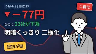 日経は0.1%高、なのに22銘柄が下落した謎