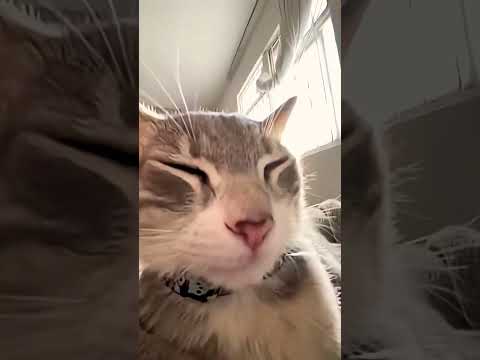 popipopigo popigo 😂😂😂😂😂