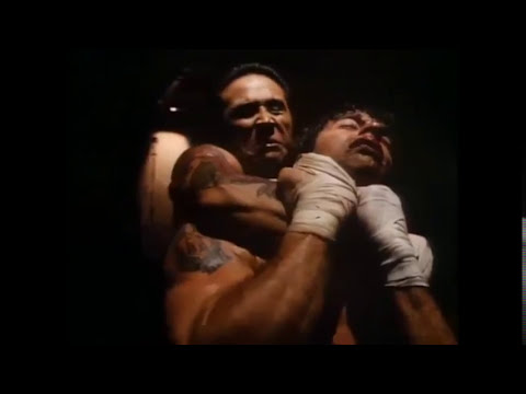 Fight Sequence