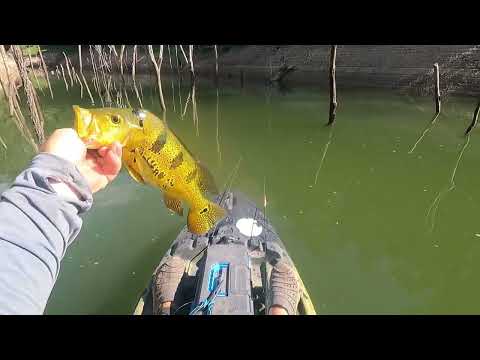 Pescaria de Tucunaré em Mauá, Lageado Bonito, Ortigueira PR, Pousada Rancho Pijuca