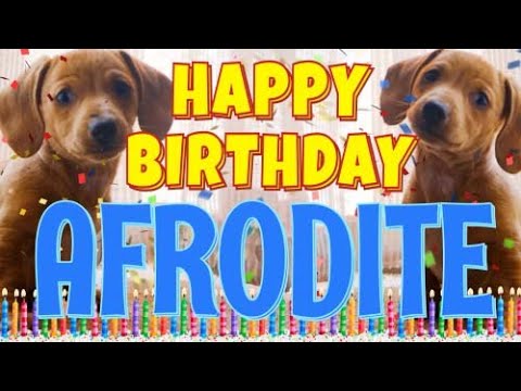 Happy Birthday Afrodite! ( Funny Talking Dogs ) What Is Free On My Birthday