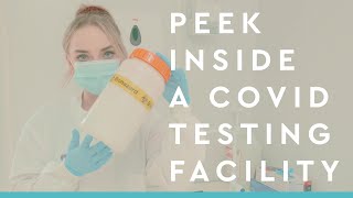 What Is PCR Testing for COVID-19 How does a COVID Lab look from the inside