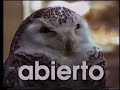 Sesame Street Spanish Word Films Abierto Y Cerrado