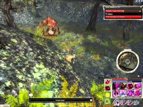 Lightning/Wailling Forest Farm (FoW NM)