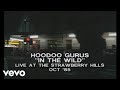 Hoodoo Gurus - In The Wild