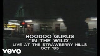 Hoodoo Gurus - In The Wild