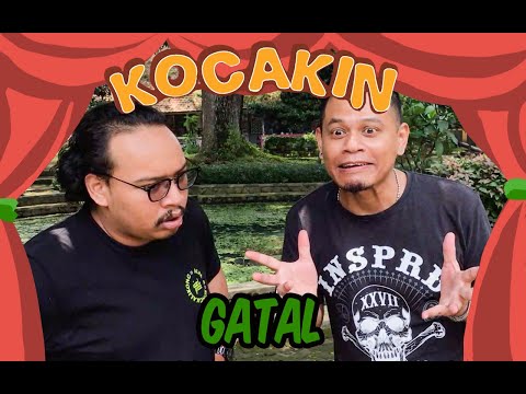 kocakin-gatal