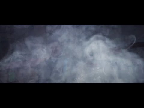 Dáma s hranostajem - Dým
