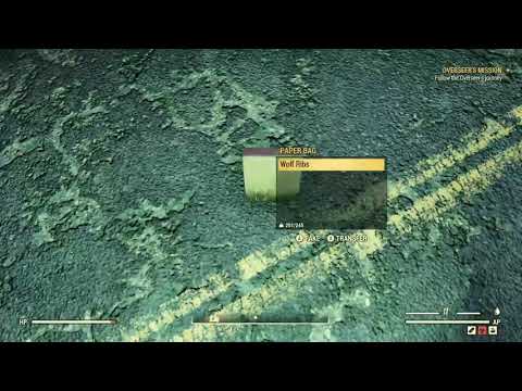 Friendly Enclave Soldier on Patrol