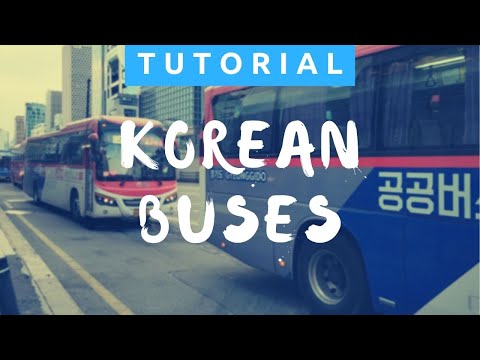 How to Ride the Bus in Korea | Getting Around in Korea