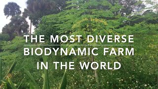 Most diverse certified biodynamic, organic farm in the world!  Frog Va