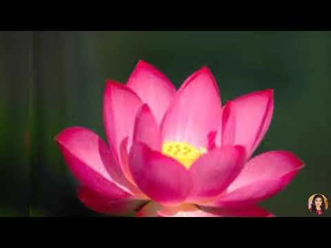 Tumhe Chhede Hawa Chanchal Song Kumar Sanu