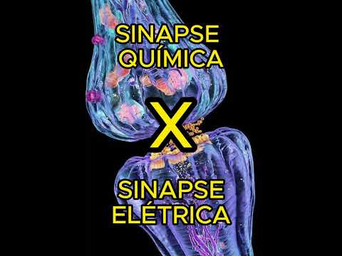 SINAPSE QUÍMICA X SINAPSE ELÉTRICA - Entenda de uma vez por todas