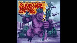 Lee Scratch Perry and Subatomic sound system - Chase the devil
