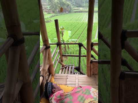 Cuaca sangat dingin bawanya pingin tidur terus