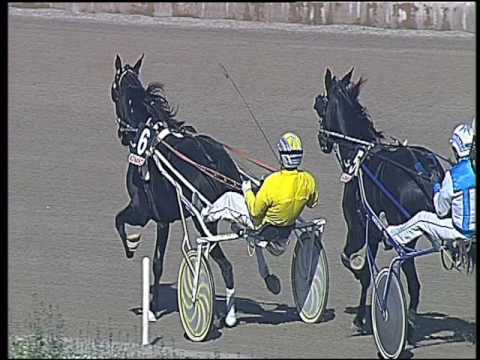 Trotto 23/10/2016 - 2ª corsa