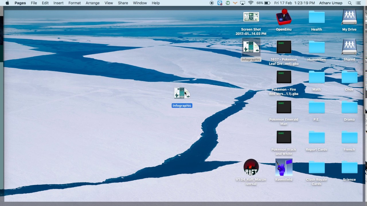 Infographic PDF Instructions