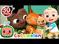 Pet Care We Love Our Pets CoComelon Furry Friends Animals For Kids