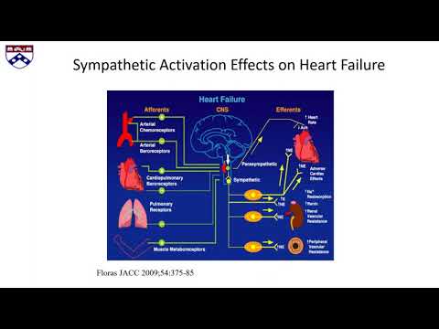 Managing the Epidemic of Obstructive and Central Sleep Apnea in Cardiology