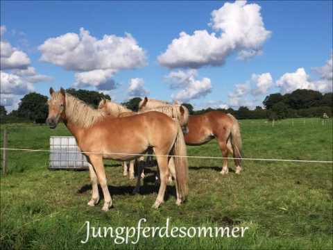 Jahresrückblick 2016