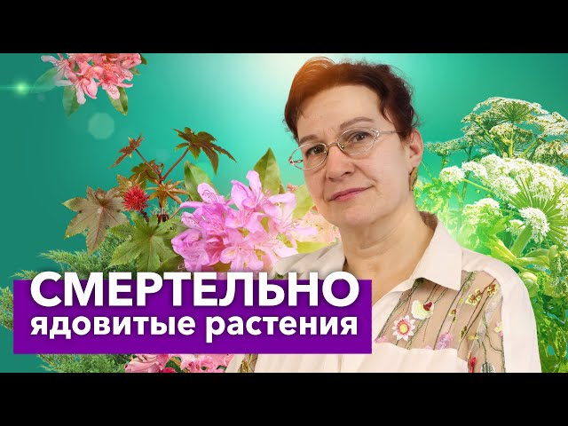 10 САМЫХ ОПАСНЫХ РАСТЕНИЙ на дачном участке! Красивые, но ядовитые цветы