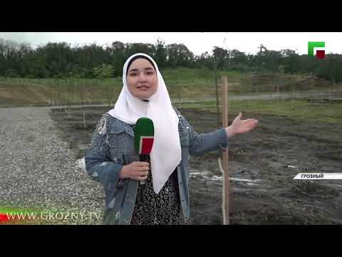 В ЧР открыли первый во всем СКФО карбоновый полигон